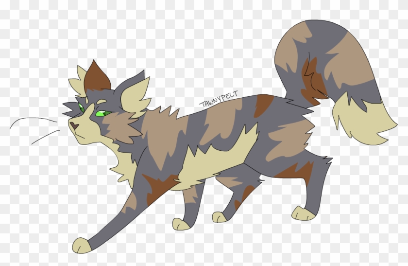 Jayfeather, Reddy Wiki