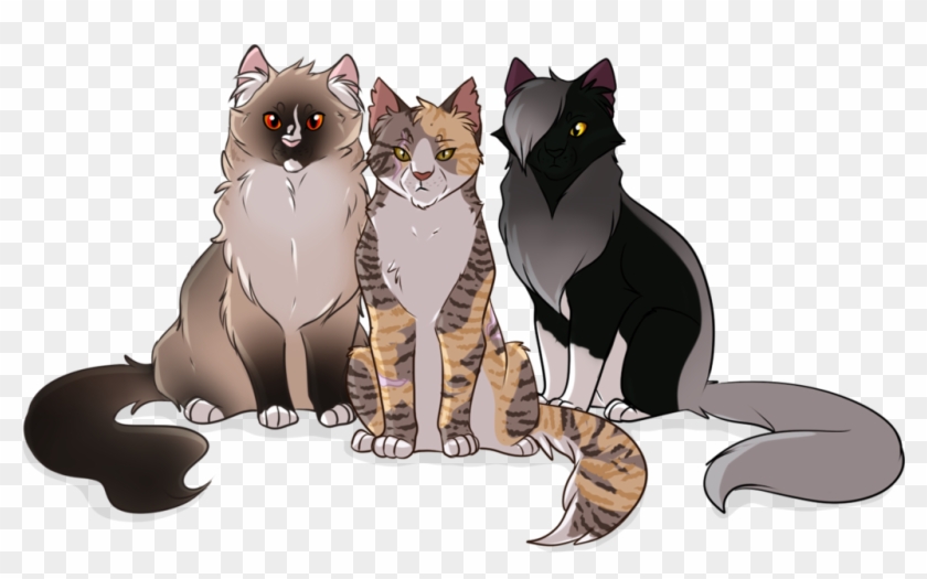 Thunderclan By Ocrystal Thunderclan - Domestic Short-haired Cat #950279