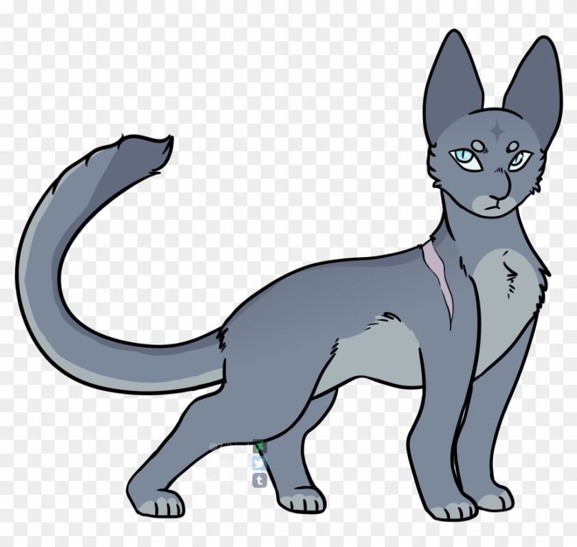 Bluestar Warriors Thunderclan Starclan Designs Warrior - Dog Catches Something #950313