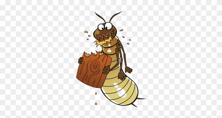 Wood Destroying Insects - Insect Wood Png #950319