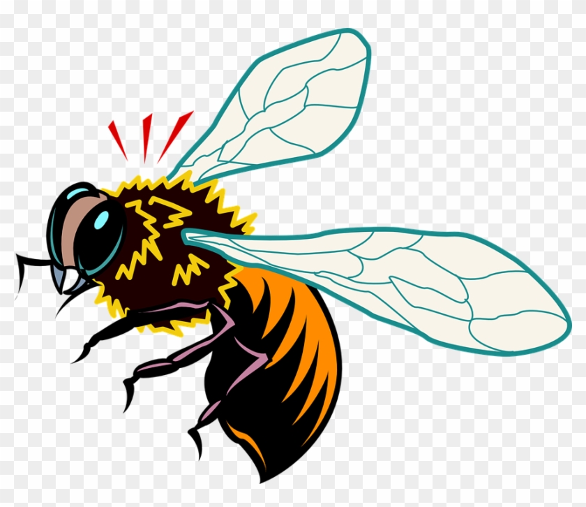 African Honey Bee Clipart #950344