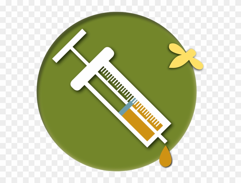 Bee Health - Health #950455