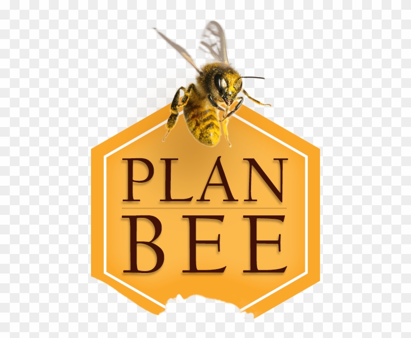 Bee - Bee And Brain Storming #950481