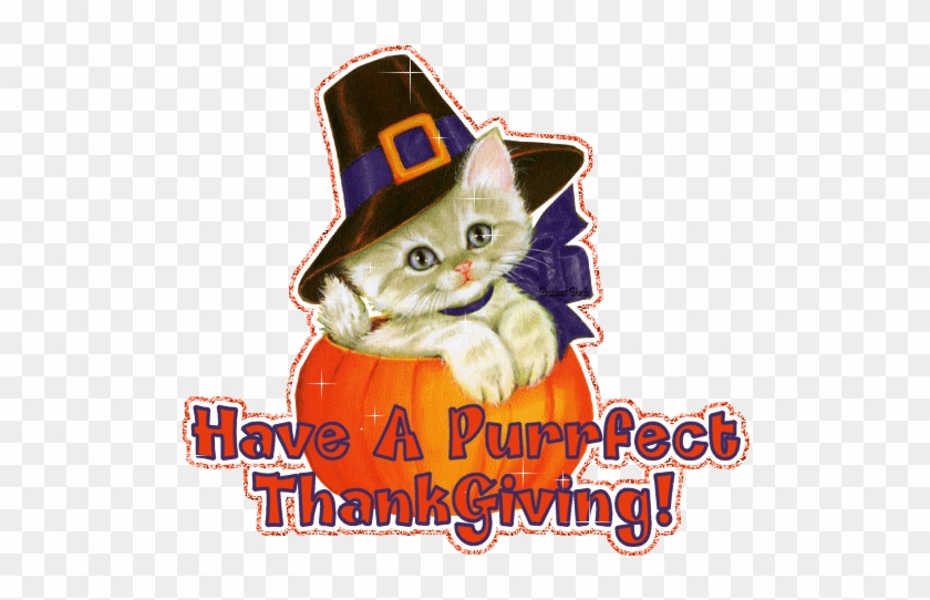 Have A Purrfect Thanksgiving - Happy Thanksgiving With Cats #950538