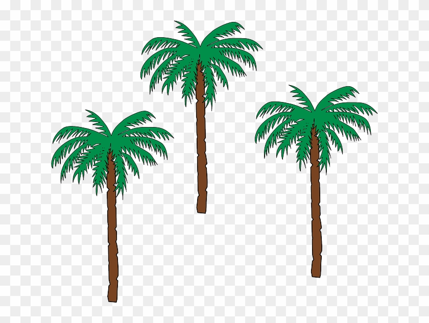 Trees Palm, Tree, Trees - Haiti Coat Of Arms #950707