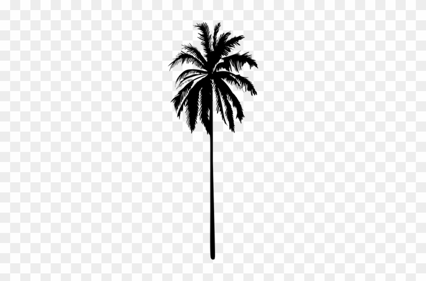 Straight Standing Silhouette Palm Tree - Palm Tree Silhouette La #950793