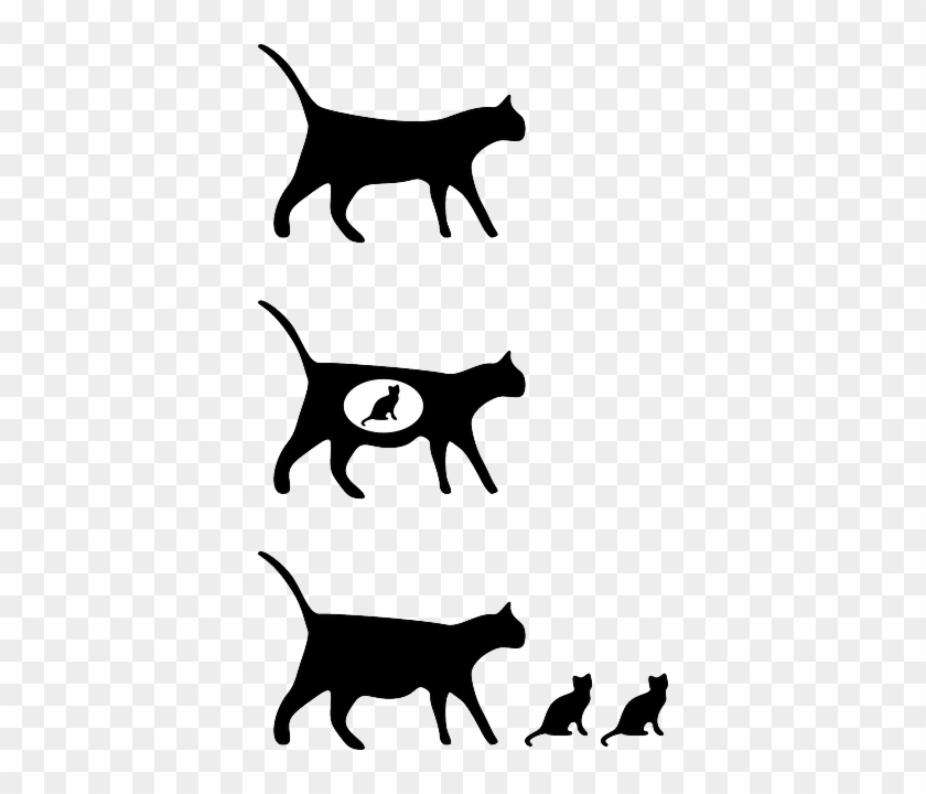 Cat, Sitting, Pet, Walking, Animal, Silhouettes, Icon - Cat Icon #950872