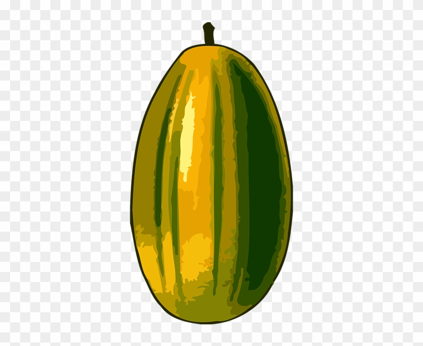 Melon Clipart Tree - Seed Tree #951312