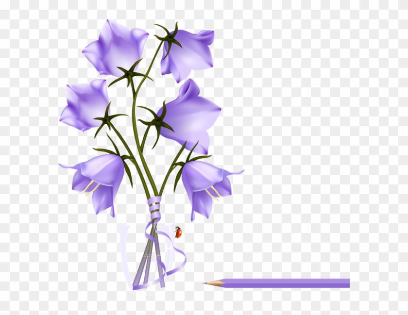 Cookbook People Recipe Cards 4x6 Bluebells Beautiful #951474