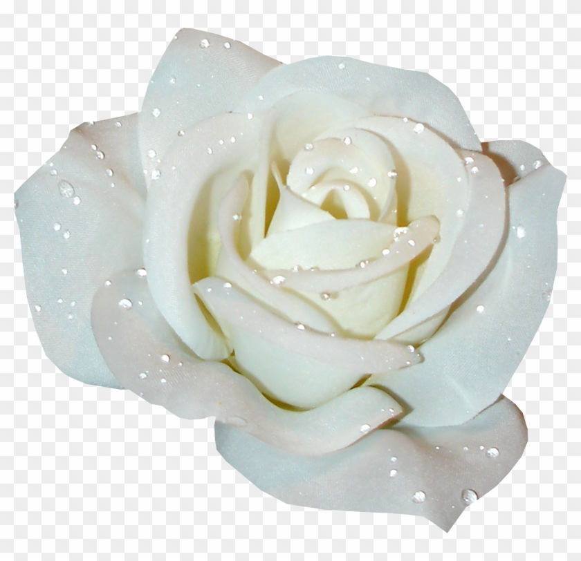 Pin White Rose Clipart - Clip Art #951499