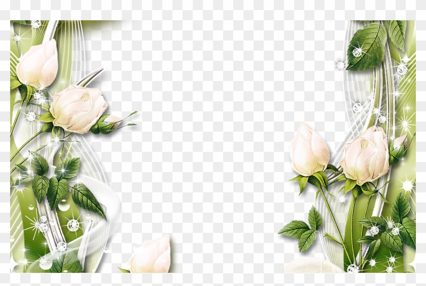 Pin By Yvonne Jeanson On Clipart Borders Pinterest - White Rose Border Png #951688