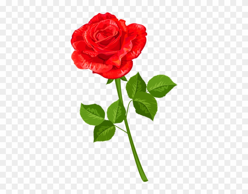 Rose Transparent Png Clipart - Clipart Rose Transparent #170599