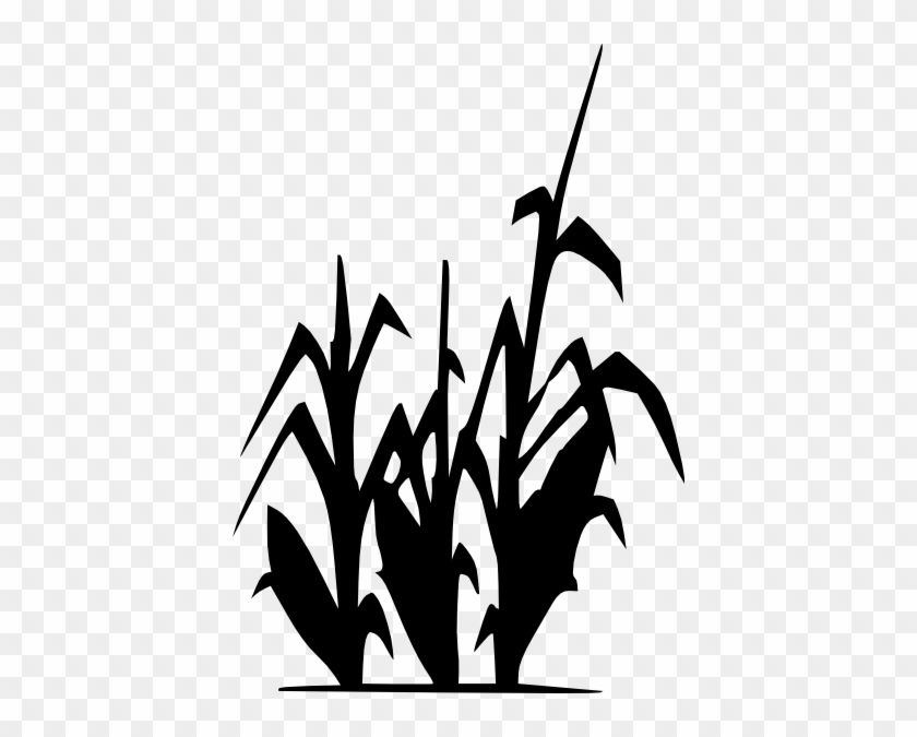 Corn Clipart Outline - Corn Stalk Silhouette #170826