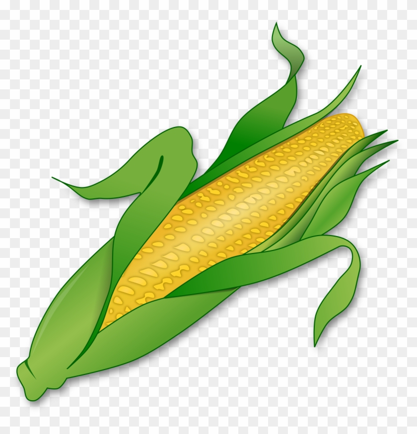 Corn - Free Clipart Corn #170959