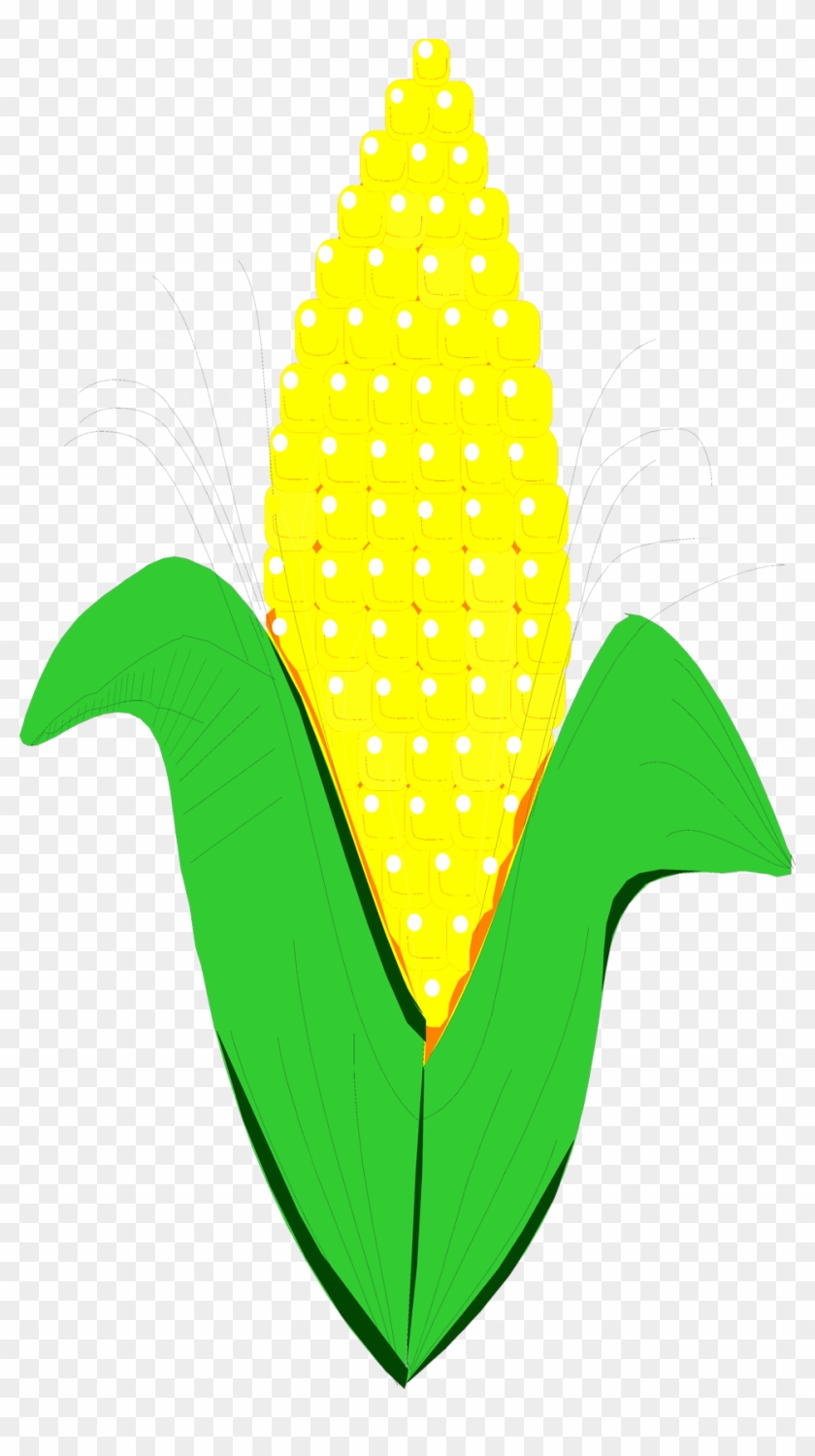 Drawing Of Corn Clipart Free Clip Art Images Corn Clipart No Background Free Transparent Png Clipart Images Download