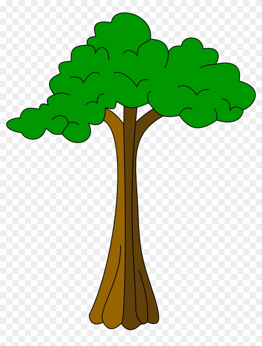 Cotton Tree - Equatorial Guinea Coat Of Arms #171032