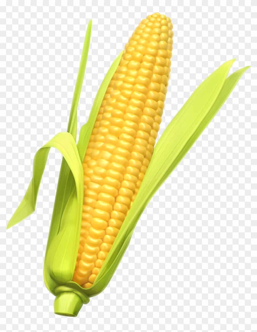 Corn Clipart Web - Corn Png #171140