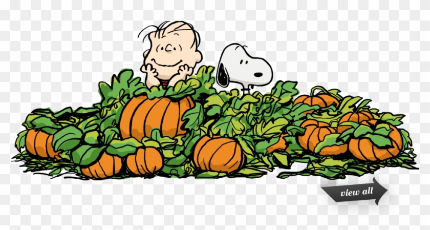 Charlie Brown Halloween Cliparts - Pumpkin Patch Charlie Brown #171199