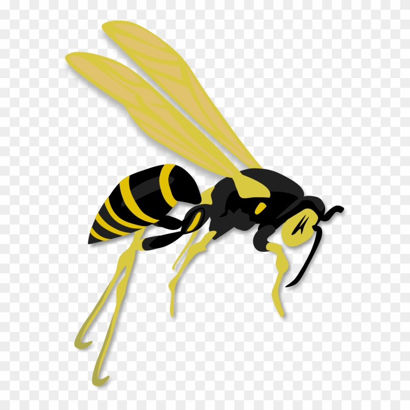 Flying Clip Art Download - Wasp Clipart #171388