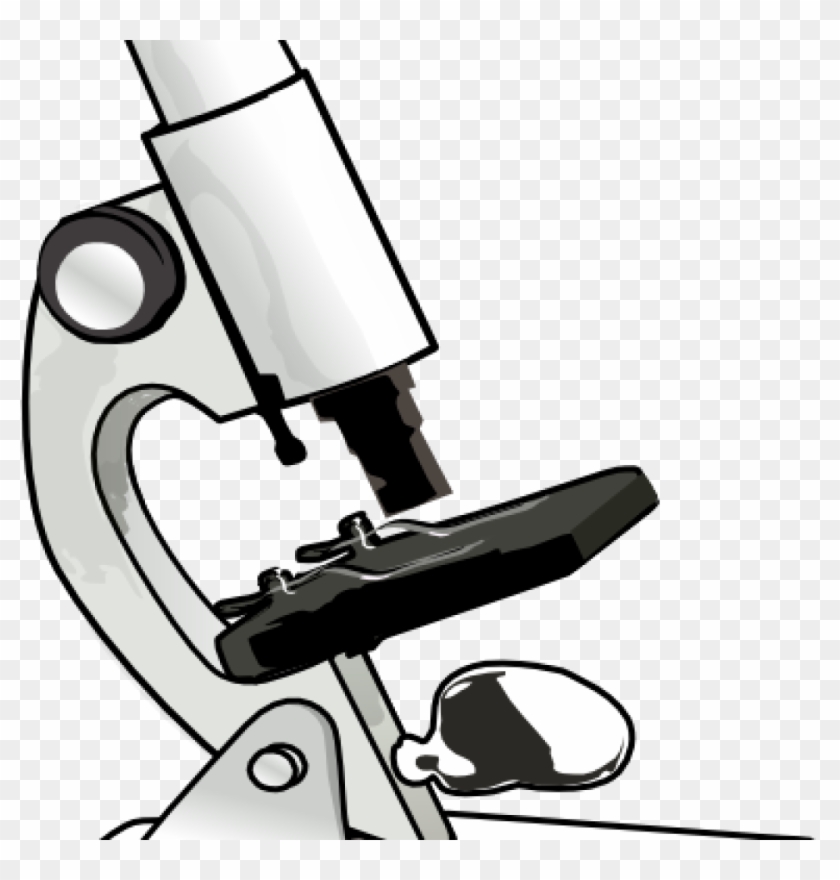 Microscope Clipart Microscope Clip Art At Clker Vector - Science Tools Clipart #171851