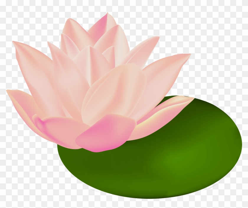 Water Lily Transparent Clip Art - Water Lily Transparent Clip Art #172597