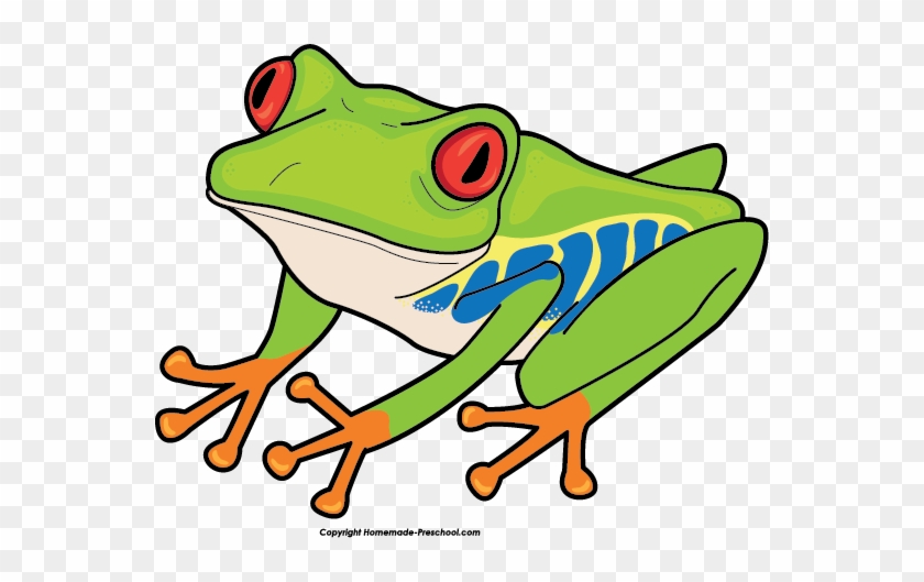 Free Frog Clipart - Red Eyed Tree Frog Clipart #173043