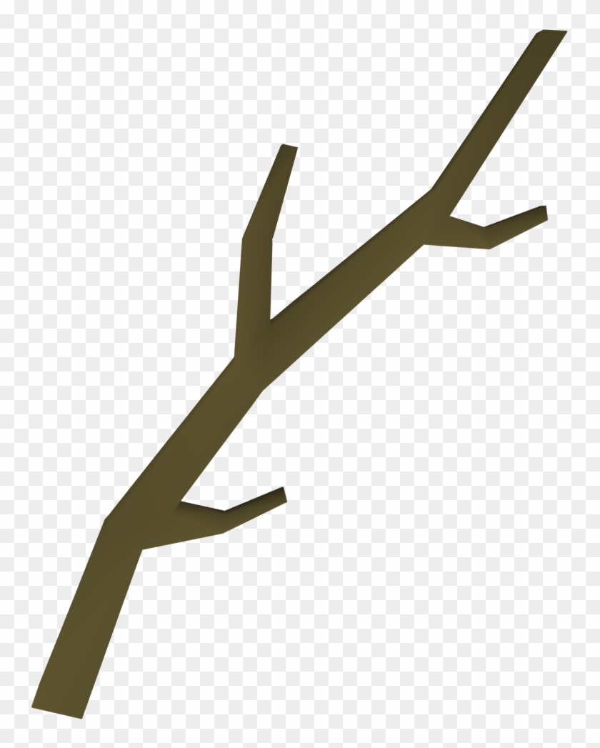 Tree Stick Clipart - Branch From A Tree #173389