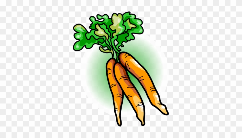 Carrot Clip Art - Bunch Of Carrots Clipart #173411