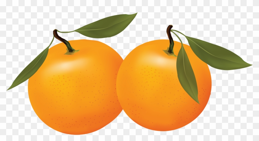 Orange Png Image Free Clipart Panda Images Png - All Kinds Of Fruits #173434