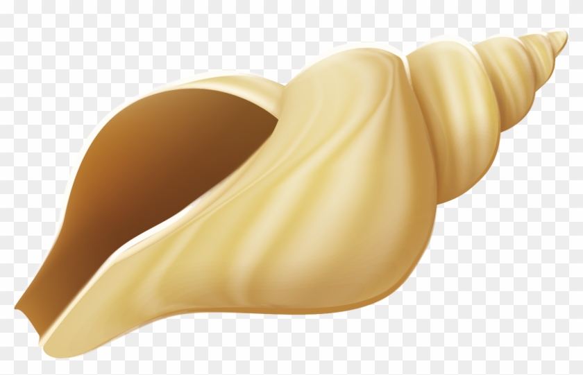 Seashell Conch Clip Art - Seashell Conch Clip Art #173513