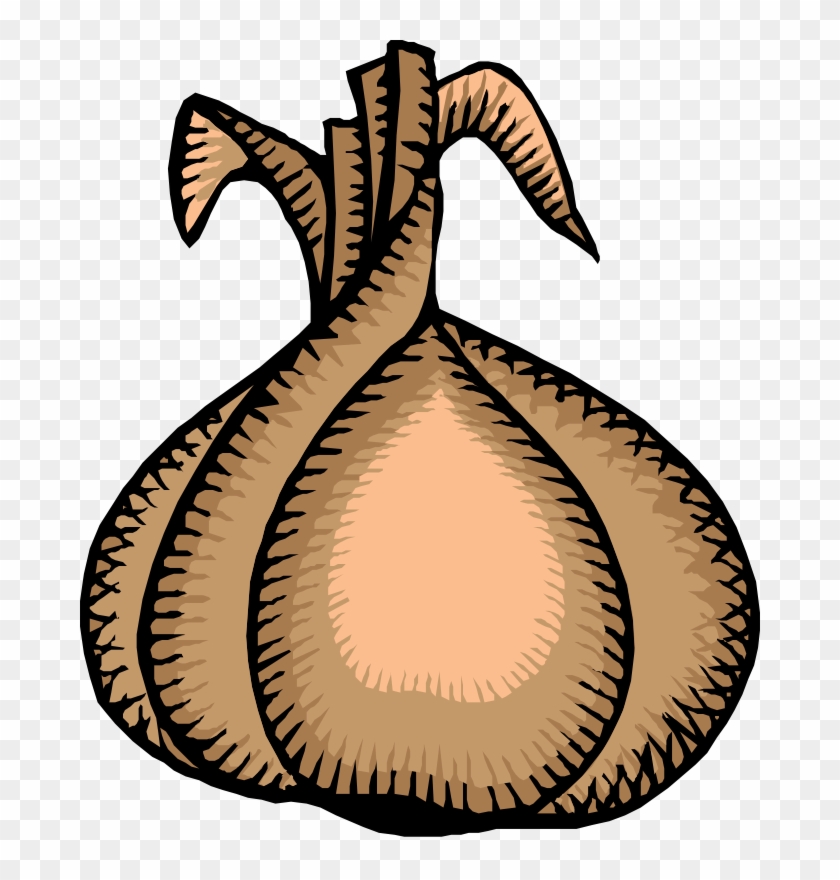 Onion Clip Art Download - Onion Clip Art #173518
