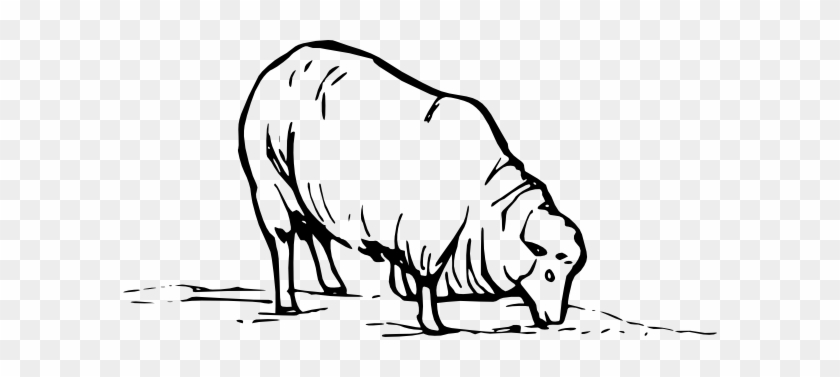 Sheep Clip Art #173618