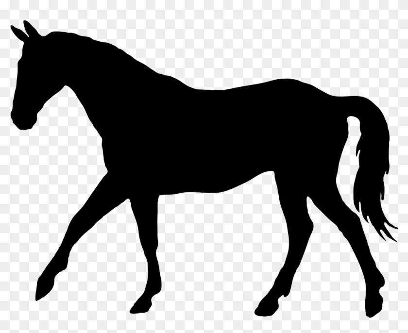 1000 Ideas About Horse Silhouette On Pinterest - Horse Silhouette Png #951948