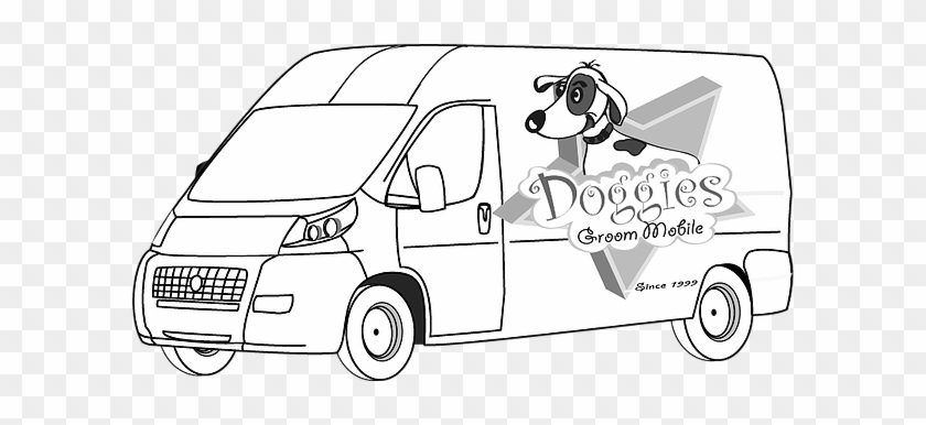 Contact For Grooming Service In Miami-dade - Vehicle #951971