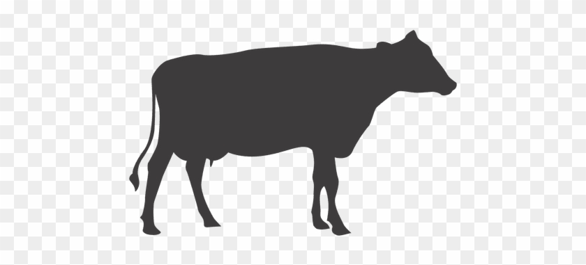 Cow Silhouette Vector - Cow Мусещк #952030