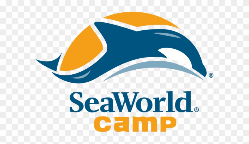Camp Seaworld - Seaworld Camp #952156