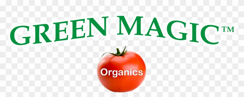 Green Magic Products - Green Magic Soap Logo #952364