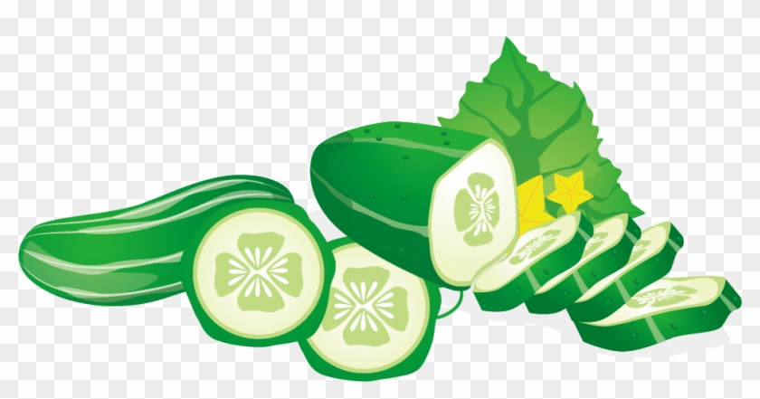 Cucumber Vegetable Euclidean Vector Fruit - Vector Graphics #952522