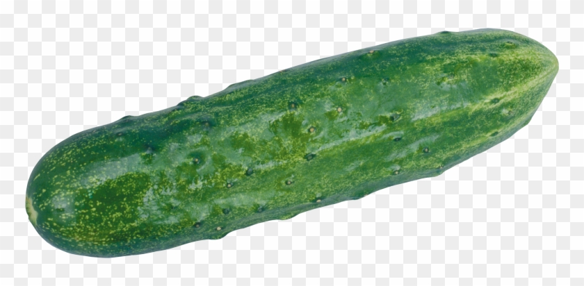 Download Cucumber Png Clipart - Cucumber Png #952600