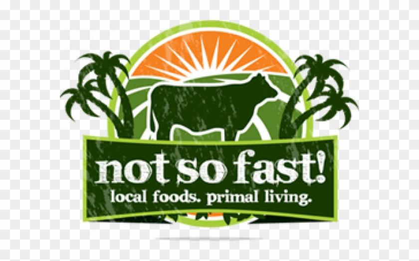The “not So Fast ” Food Truck Is Coming To Invictus - Party In The Usa Lyrics #952604