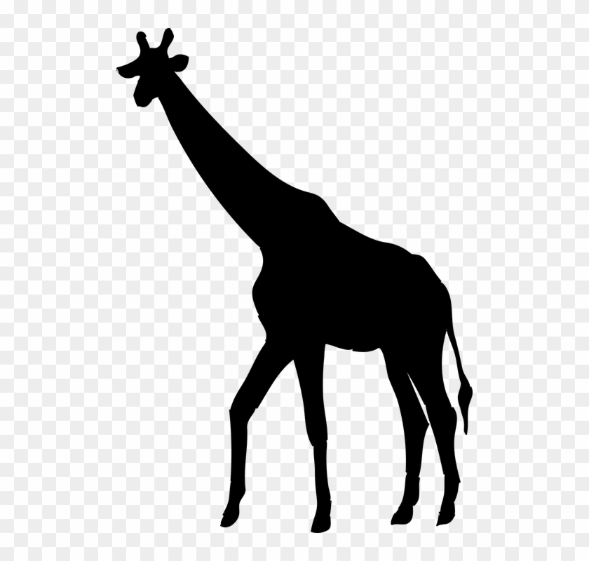 Mask Clipart Giraffe - Jirafa Silueta Png #952707