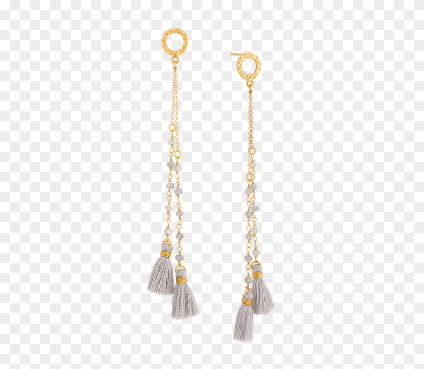 Labradorites Earrings With Grey Tassels - Earrings #952928