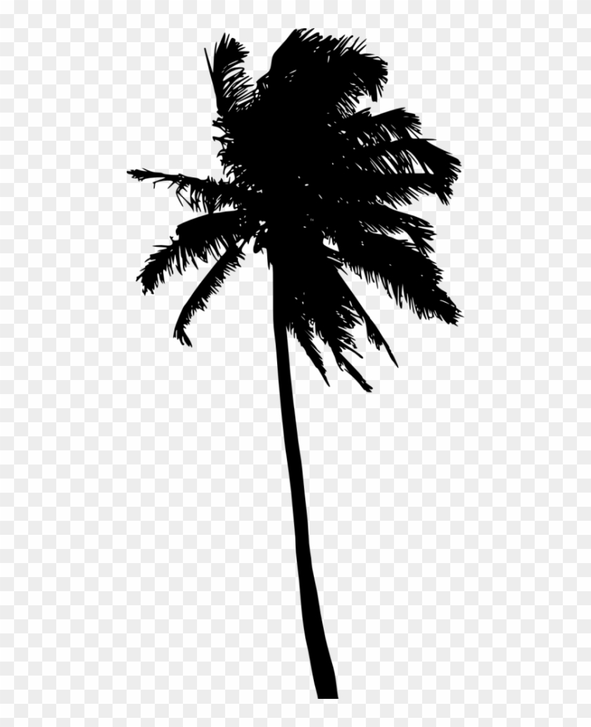 Free Png Palm Tree Silhouette Png Images Transparent - Silhouette #952938