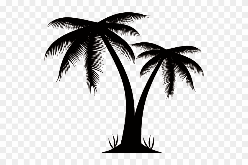 Arecaceae Euclidean Vector Stock Photography Clip Art - Palm Tree Silhouette Png #952952