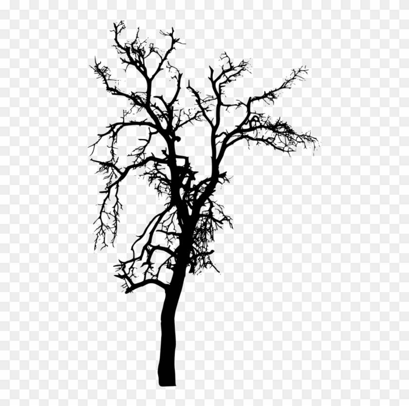Free Png Bare Tree Silhouette Png Images Transparent - Portable Network Graphics #952951