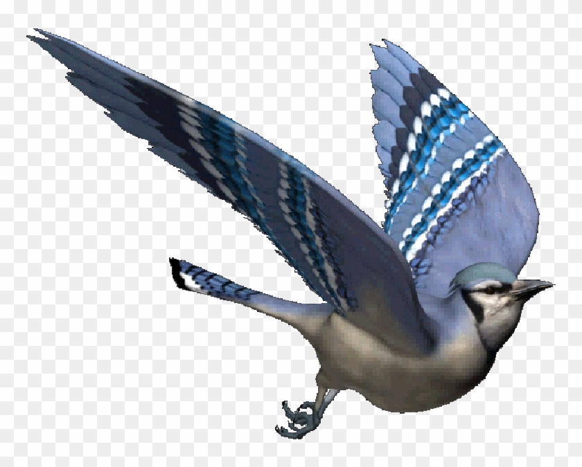 Bird In Flight - Transparent Fly Bird Gif #953130