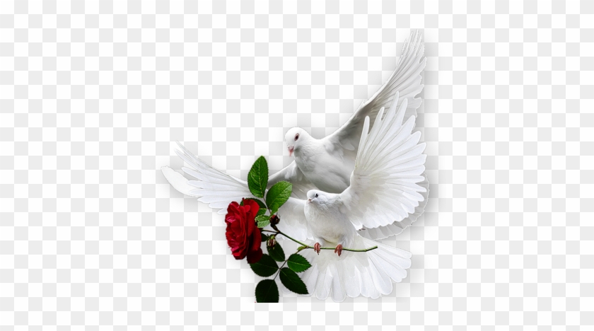 White Doves, Holy Spirit, Decoupage, Beautiful Things, - Днем Счастья 20 Марта #953134