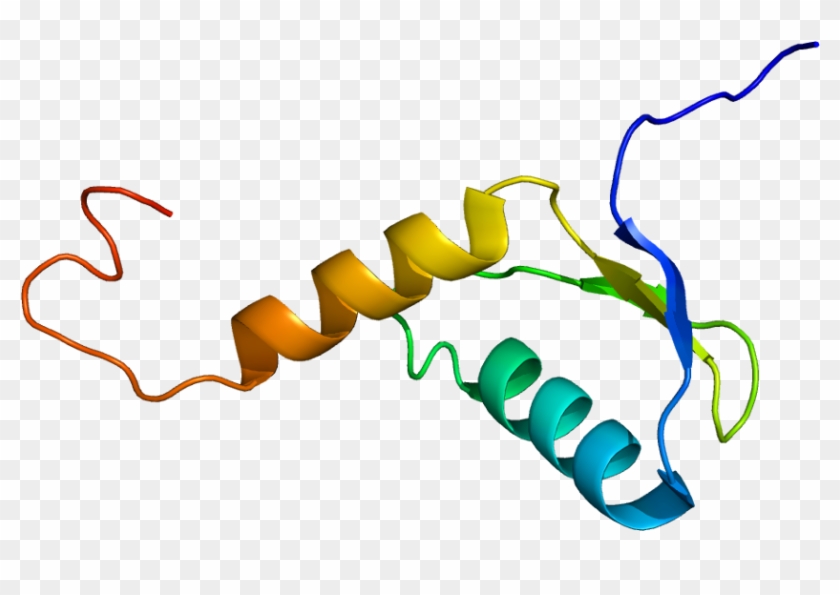 Protein Data Bank #953167