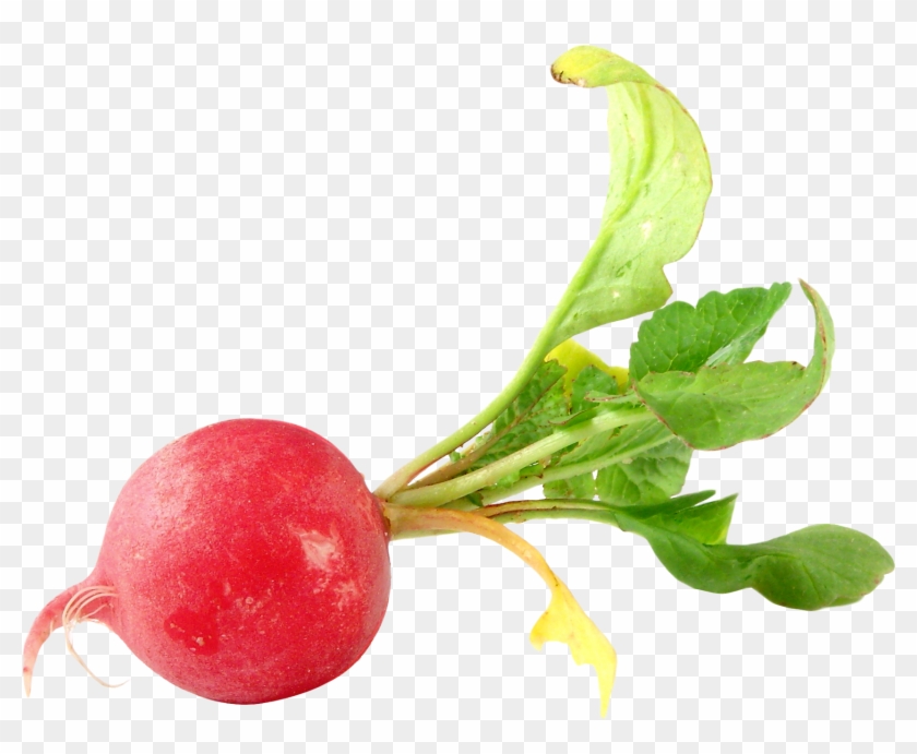 Radish Png Image - Radish Png #953331