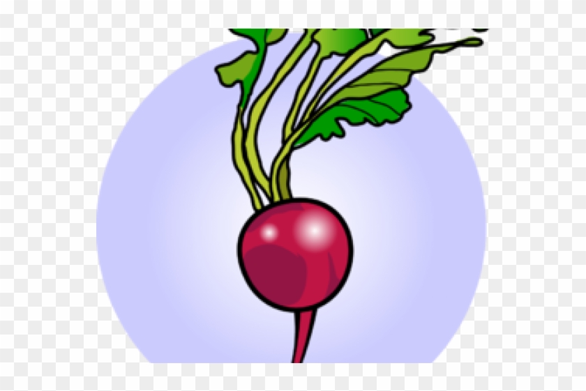 Radish Clipart - Beet Greens #953426